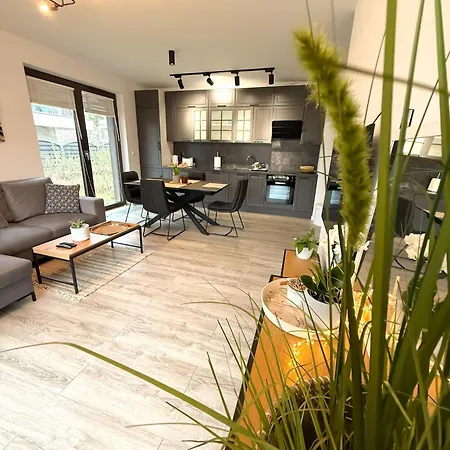 Oliwa Przy Parku Small Private Garden And Free Parking