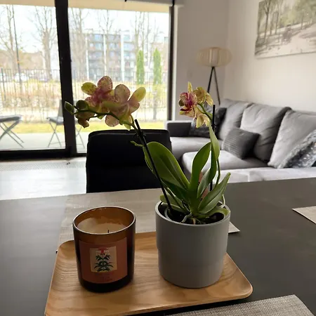 Daire Oliwa Przy Parku Small Private Garden And Free Parking Gdansk