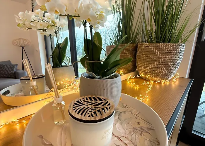 Oliwa Przy Parku Small Private Garden And Free Parking Apartment